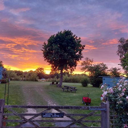 Hopgarden Glamping Luxury Shepherds Huts Wadhurst Luaran gambar