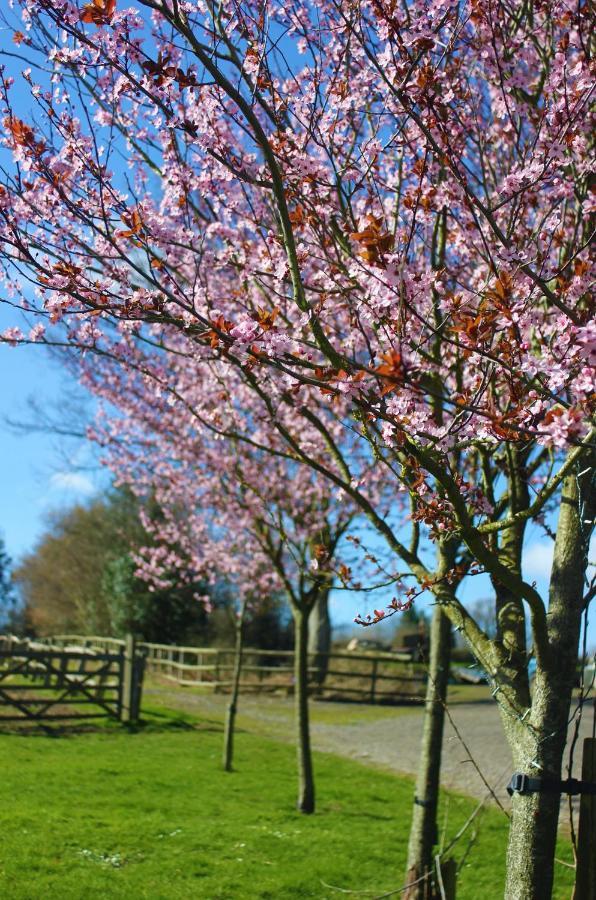 Hopgarden Glamping Luxury Shepherds Huts Wadhurst Luaran gambar