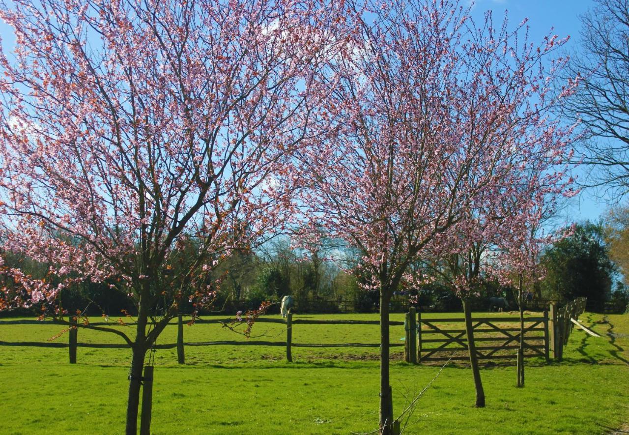 Hopgarden Glamping Luxury Shepherds Huts Wadhurst Luaran gambar
