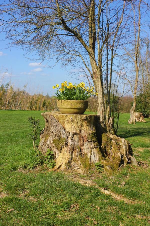 Hopgarden Glamping Luxury Shepherds Huts Wadhurst Luaran gambar
