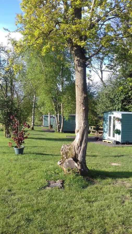 Hopgarden Glamping Luxury Shepherds Huts Wadhurst Luaran gambar