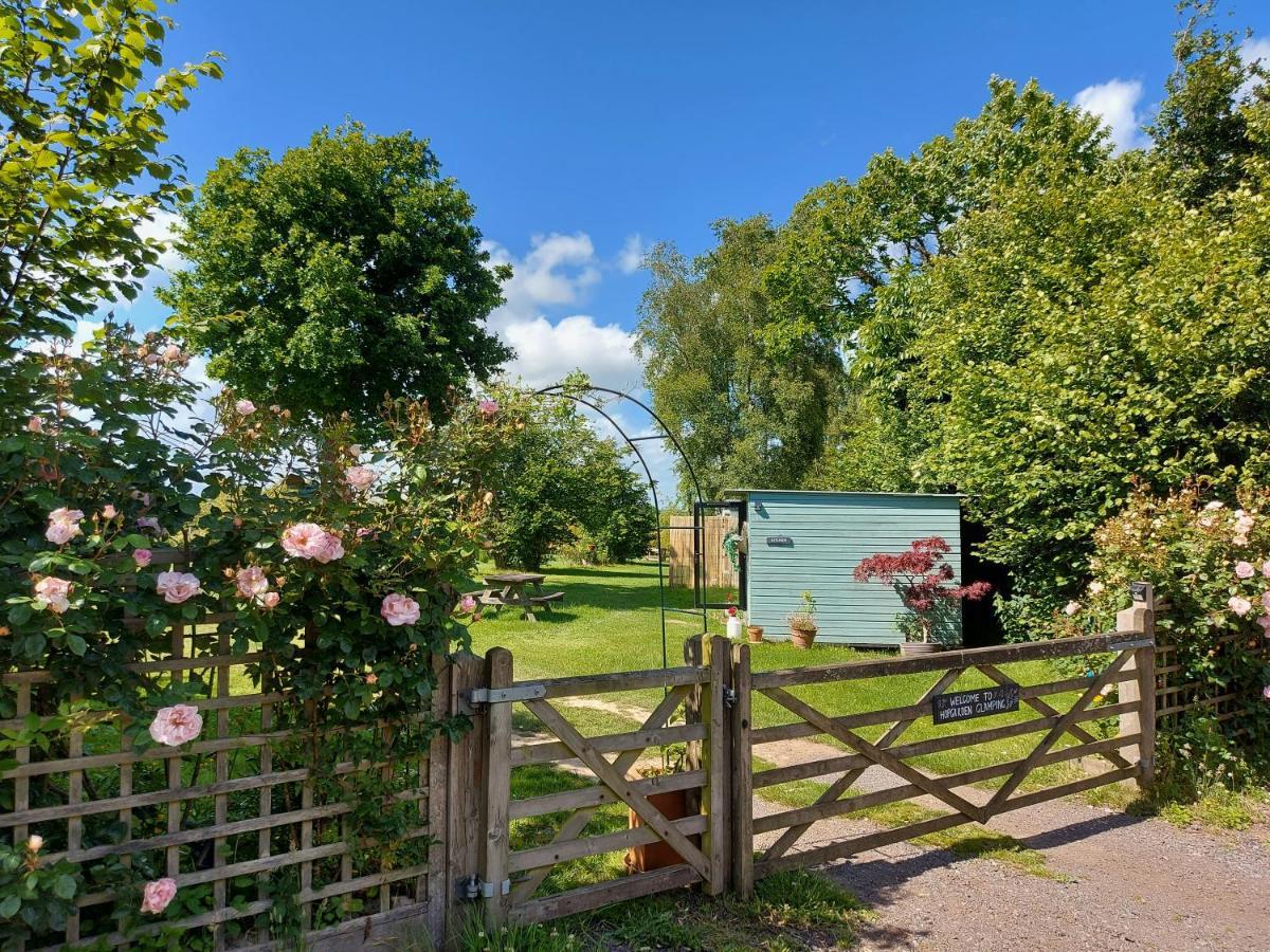 Hopgarden Glamping Luxury Shepherds Huts Wadhurst Luaran gambar