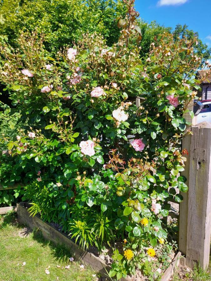 Hopgarden Glamping Luxury Shepherds Huts Wadhurst Luaran gambar