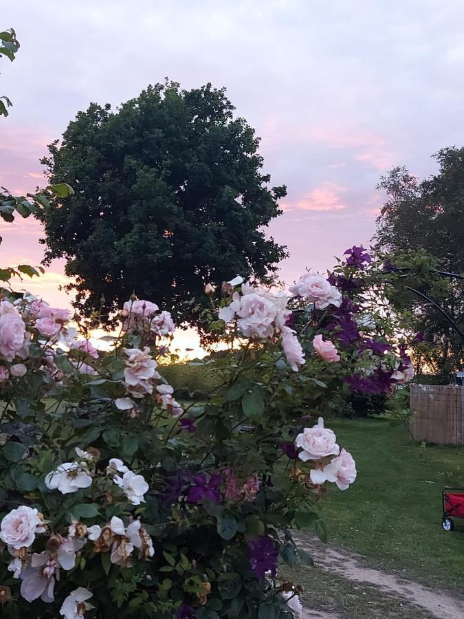 Hopgarden Glamping Luxury Shepherds Huts Wadhurst Luaran gambar